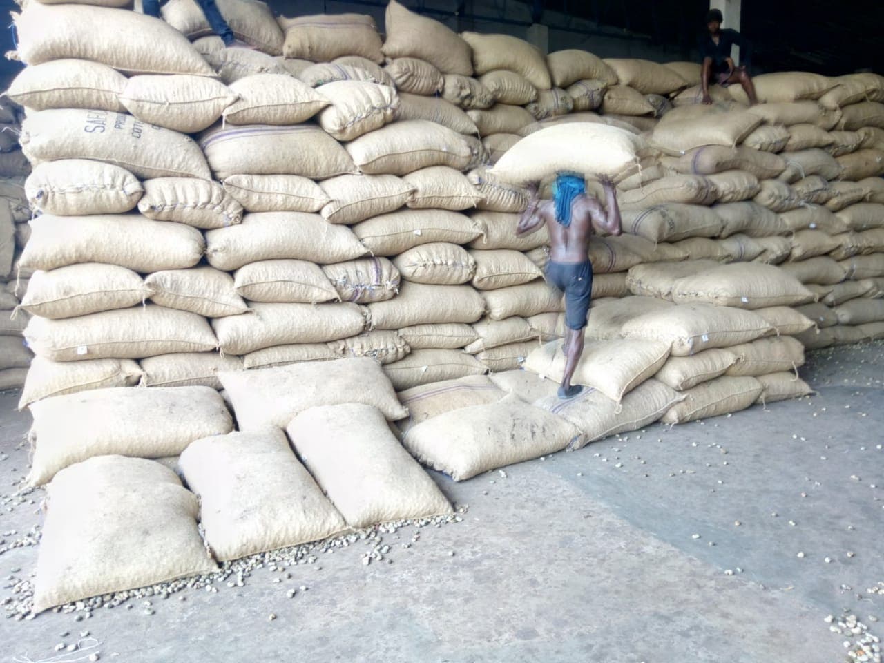 Aggregation warehouse — jute-bagged RCN stacked for dispatch