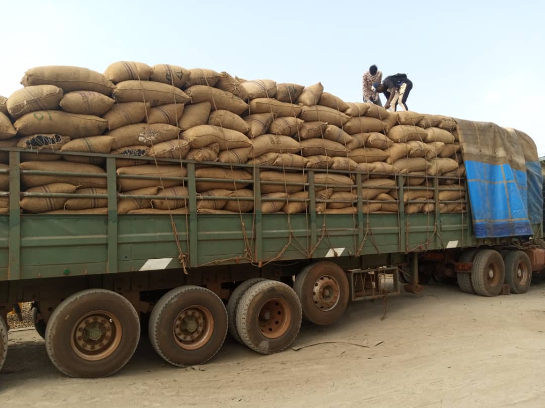Loaded long-haul trailer ready for export dispatch