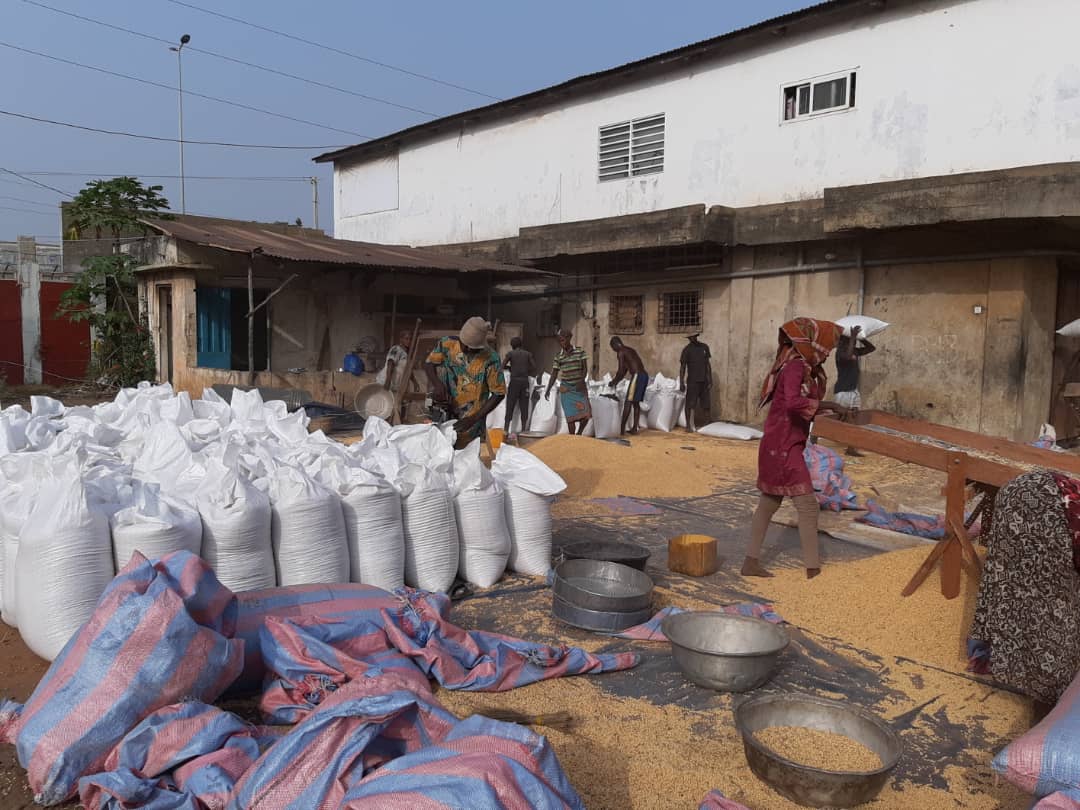 Aggregation yard — sacks staged for grading and dispatch